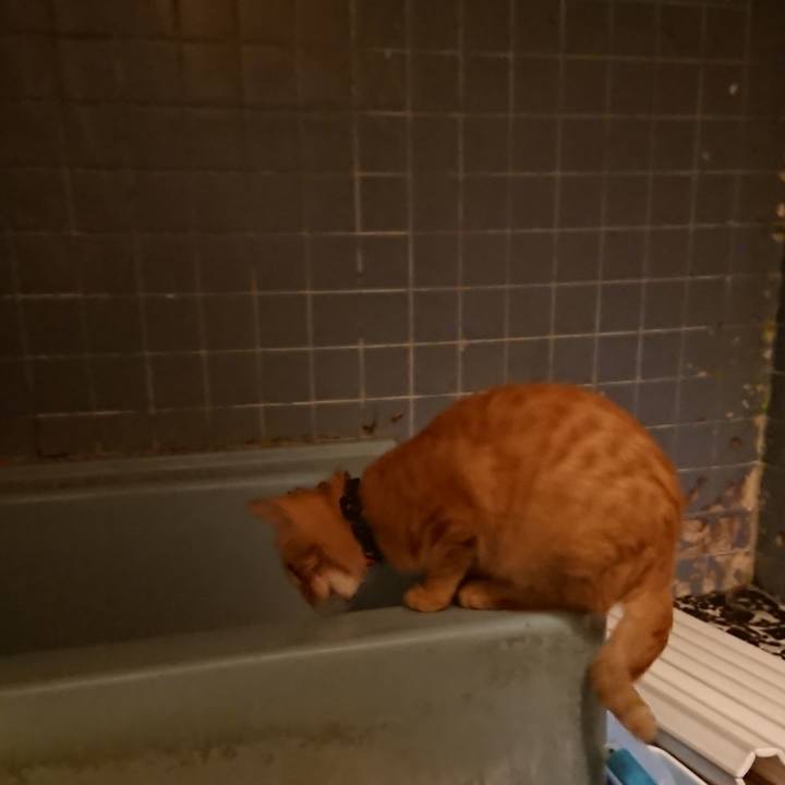 45cc1e89 4280 4df7 bb96 c2e6eb57c4b8 1635326553521