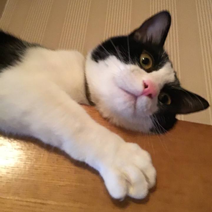 45cc5b2c 3924 411c 8658 e624e3bd4532 1653607680280