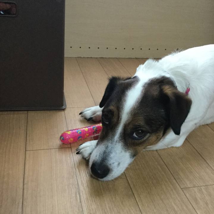 45cc78be f874 4c3d be03 2376182238bb 1525731991939