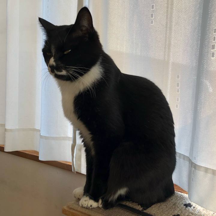 45cc959b 92a3 4d21 a4f2 52cddc631918 1644204468026