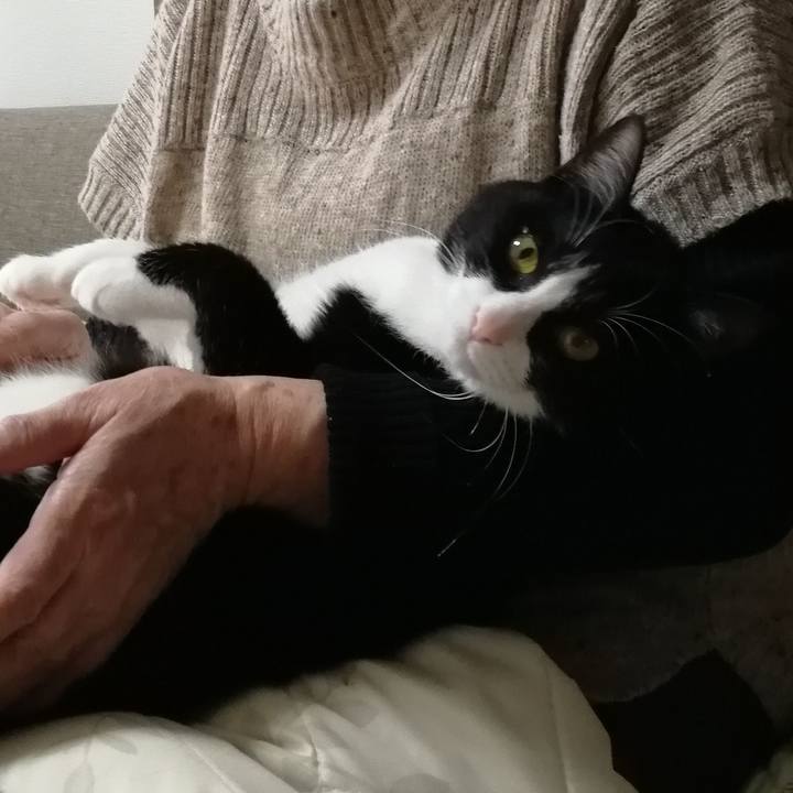 45cc9b71 04f9 4980 ab25 fce299a90fe8 1553226465279