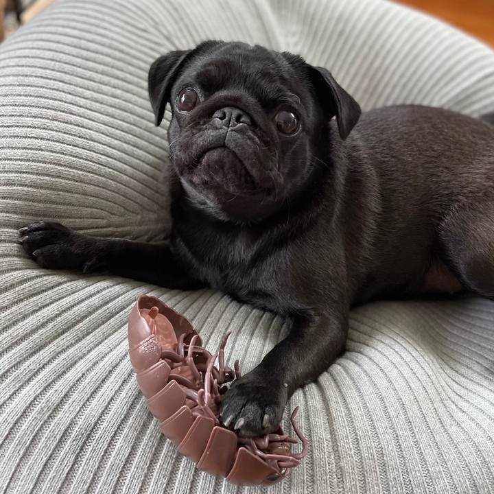 45ccad2e 62d8 4d19 9b2a f6f950289c9a 1622190700165