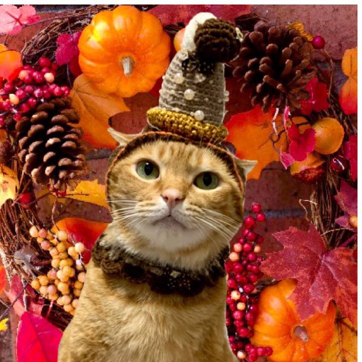 45ccb3b0 447f 454f b885 53c9f0f73023 1635503434670