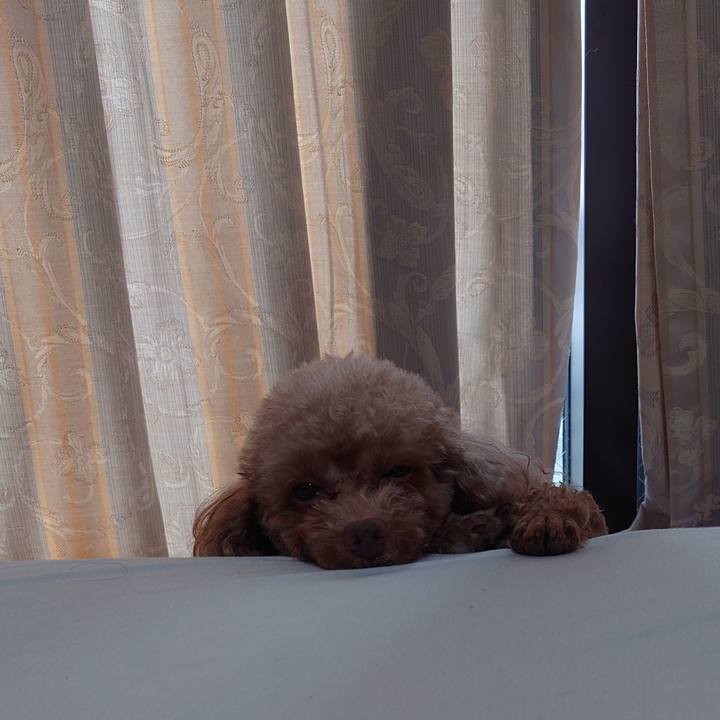 45cce232 0e70 424a a457 adf652a30abd 1727574659145