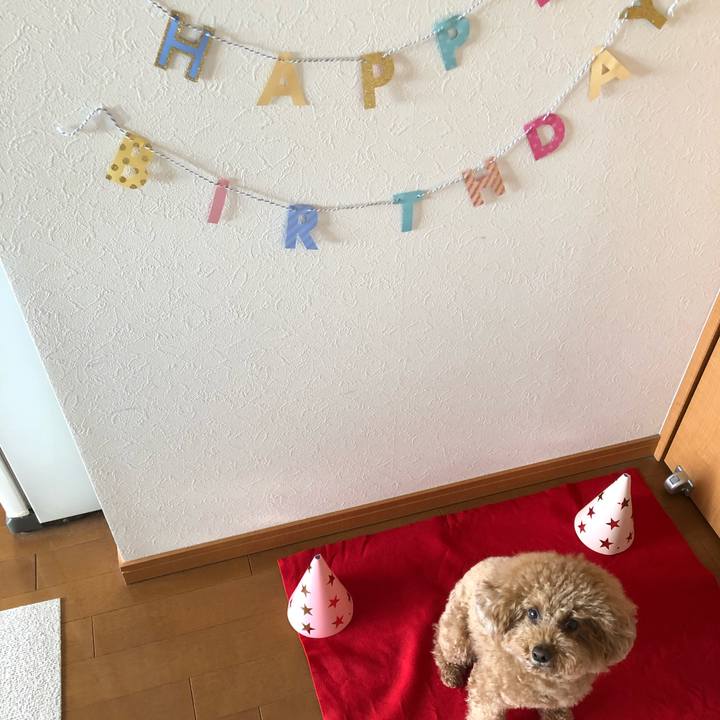 45cd1768 43c3 4867 8cec 0e669864ed6f 1586927440661