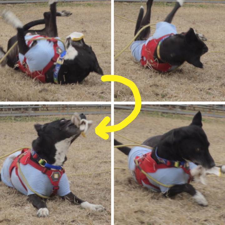 45cd3340 93df 40c6 b66e 44df9ea4f0b1 1674351396356