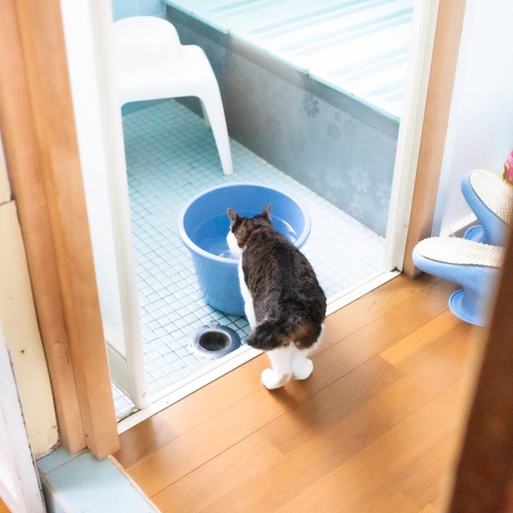 45cd4bd0 12ee 48c4 9717 5d2086da243f 1595399159332