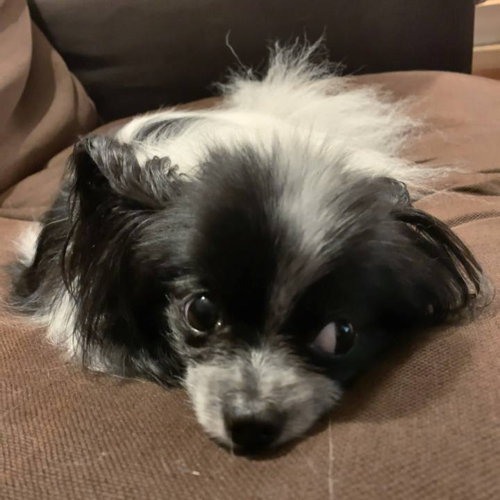 45cd800f 5d80 4b4e bf74 5b6d4c445f3b 1560637466242