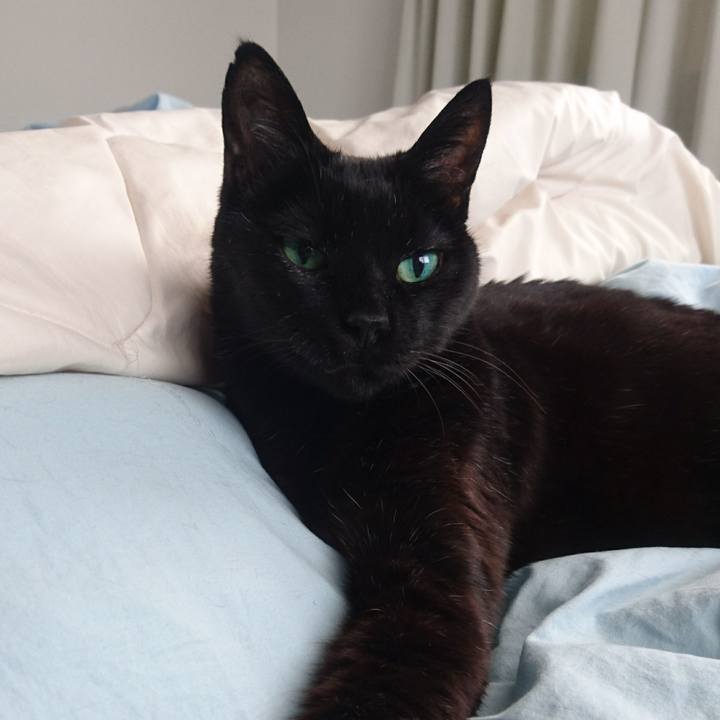 45cd9f67 d838 4119 8bb4 1f3774a40486 1516875599914