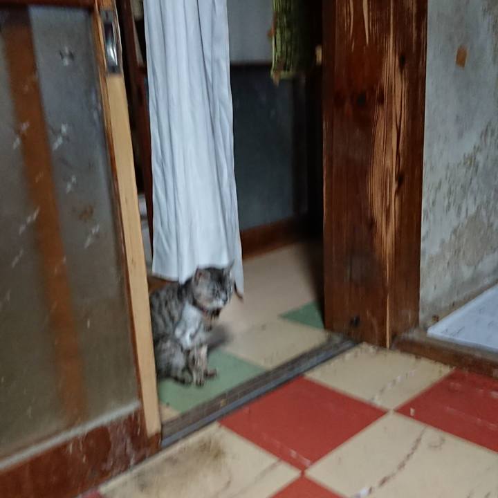 45cdb15e f5f3 4082 a4b3 64b38c11fd17 1595707711650