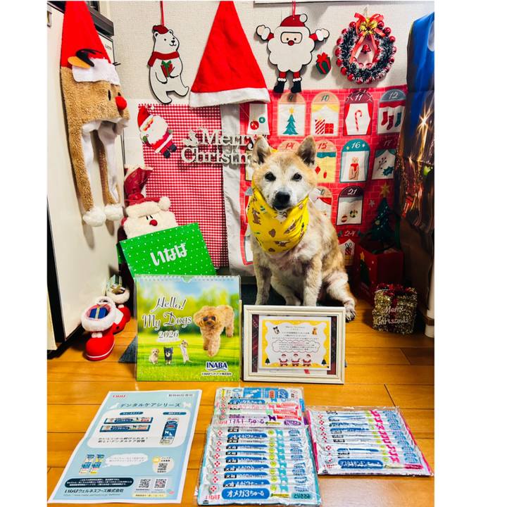 45cdb2ec 2fce 4853 b316 610c9e6b1405 1765702614051