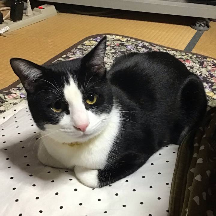 45cdd7ac 1f86 41aa bf5e 42240a574c1c 1648809337608