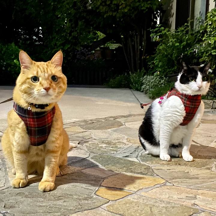 45cddf1c 37aa 49cf ac96 108357150ddc 1692529923177