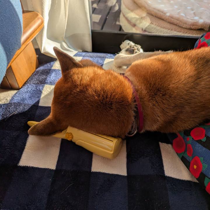 45ce0d3c 817b 4bb1 a1d3 00e9b735e4f4 1737456106385