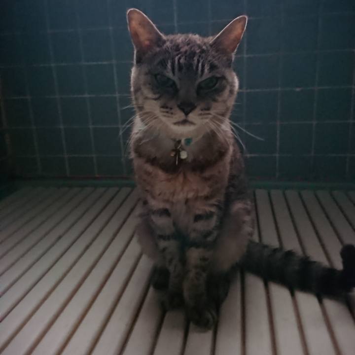 45ce173e 0629 479c a7b9 e51700241266 1570828004510