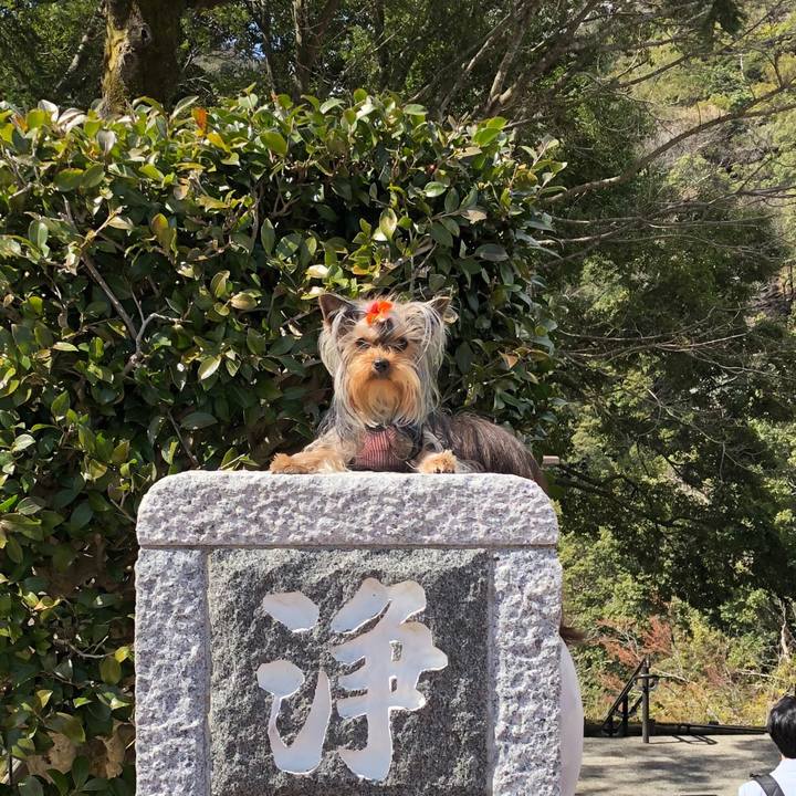 45ce1b3e 3af9 4172 9681 4a27efd93529 1647845155263