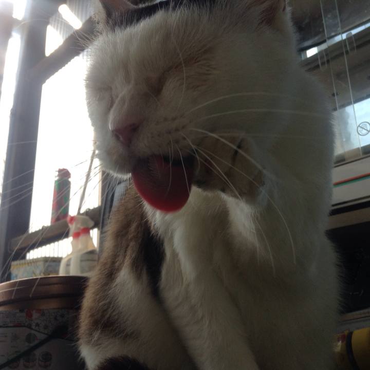 45ce977d 8b6a 4ea4 85f0 70055f624828 1528114809196