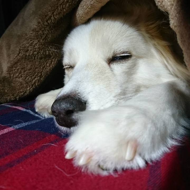 45cea5d4 0c4a 4ddf 9a32 b526f8eca301 1516996302856