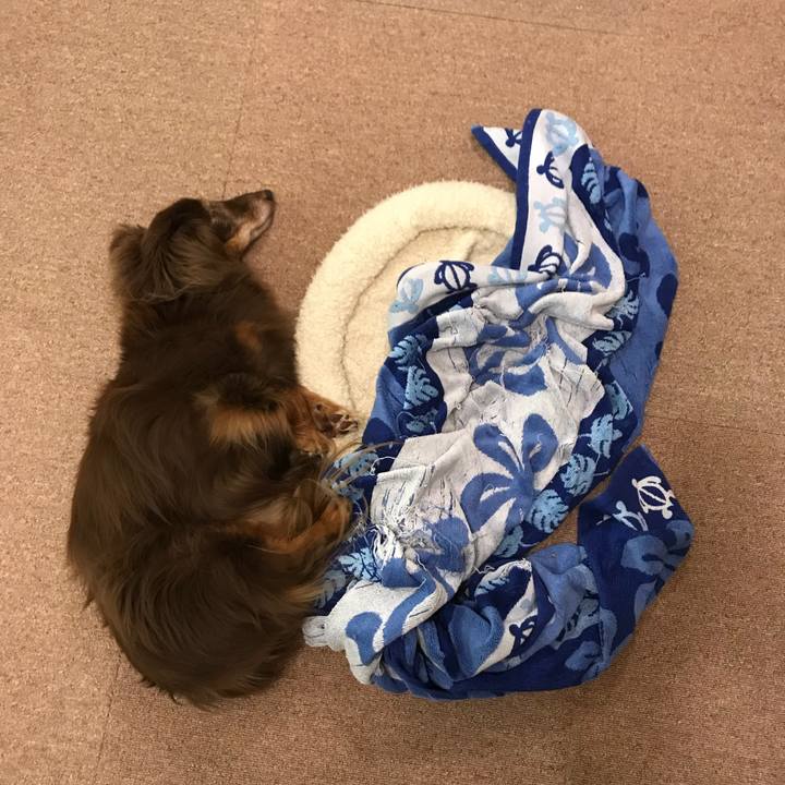 45cf55d0 c4d9 4bc4 bb4a f7ae077cdcdc 1528245591001