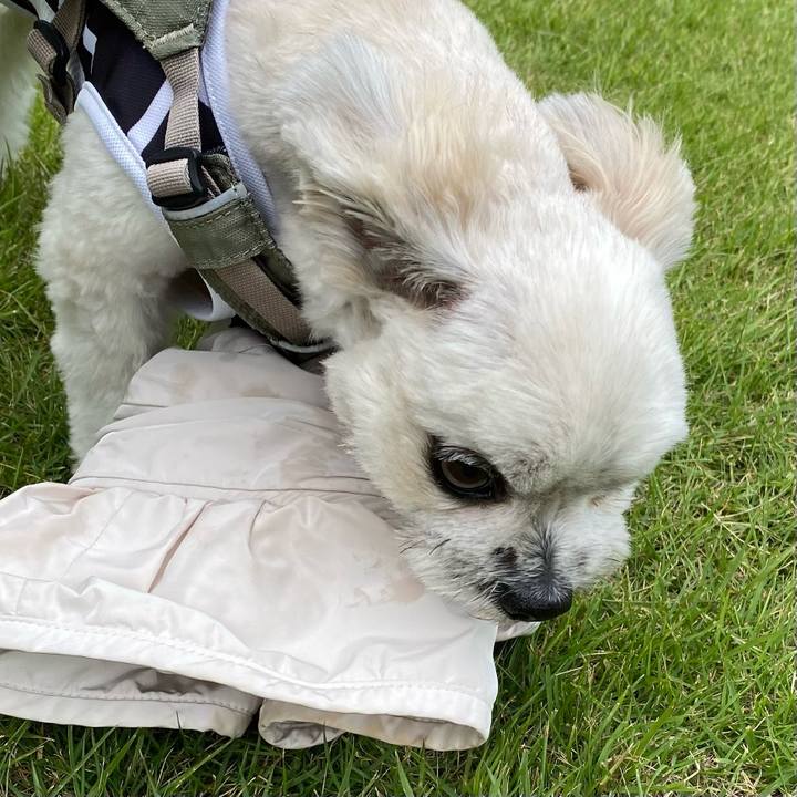 45cf652e 0f34 48ec abb1 84b30b260b64 1665402530991