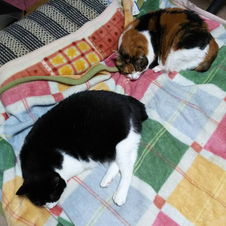 45cf6a7e 47d6 4f24 bec3 f90fc9765198 1540905957052