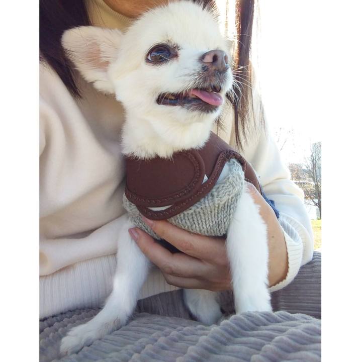 45cf7622 b976 45d1 a3c0 05183dbfd6de 1675002008489