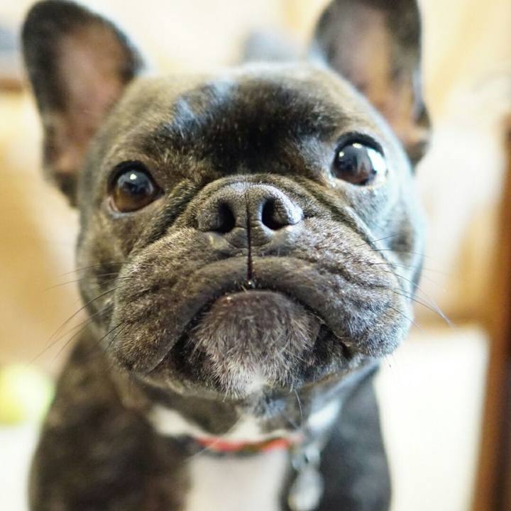 45cf80d2 271a 4e35 b939 ee87ecdbaf2a 1523771006013