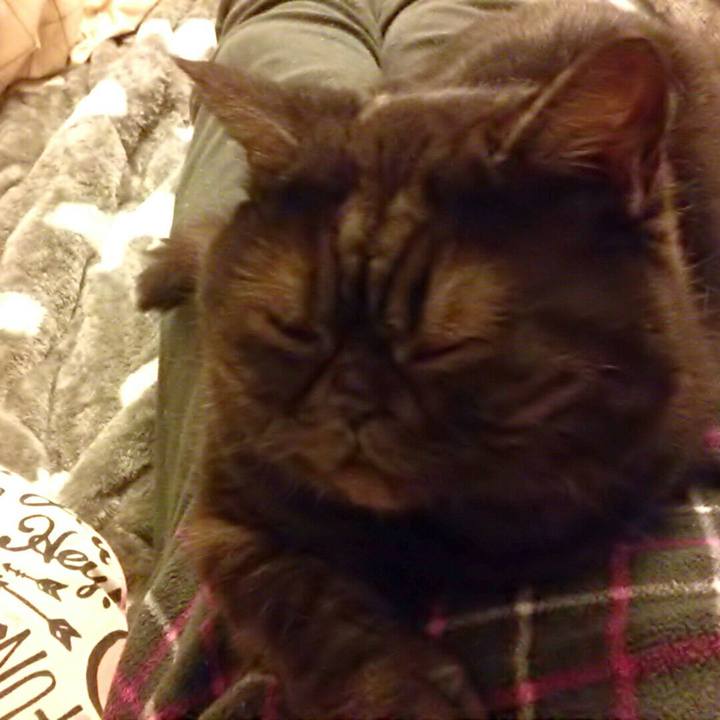 45cf8429 0ebc 4761 89e8 10c24454ff48 1514116295591