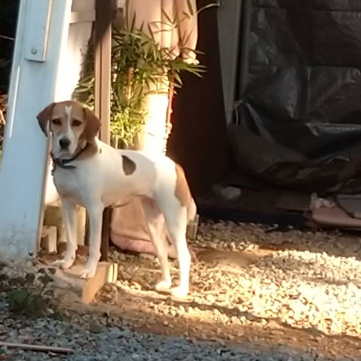 45cf9bc1 ebd7 4b97 871f 69256ead5c06 1603781811763