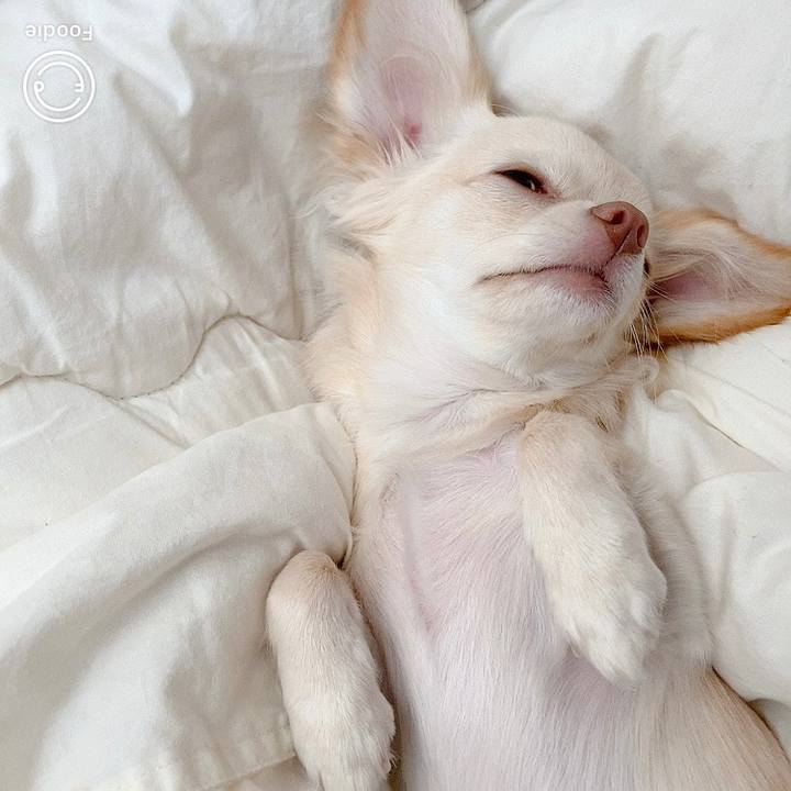 45cfaea3 d747 4b7a 9763 a4faf4e93211 1604540796152