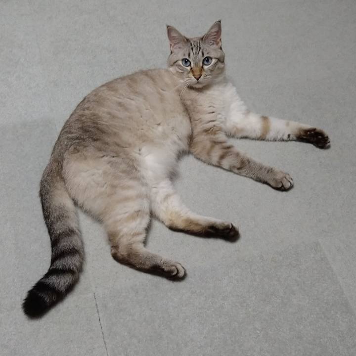 45cfe06d bebb 43a9 abb2 9b6bbc400c26 1662037647006