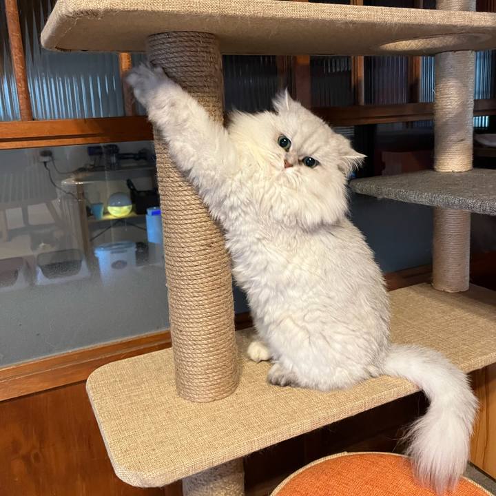 45d001ec d35d 4880 8388 4b1a344447e4 1670412165521