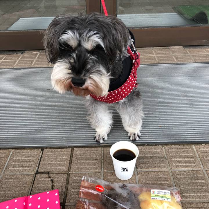 45d02e8f 30ac 4c66 a35e 9c37ed650ef5 1547306811020