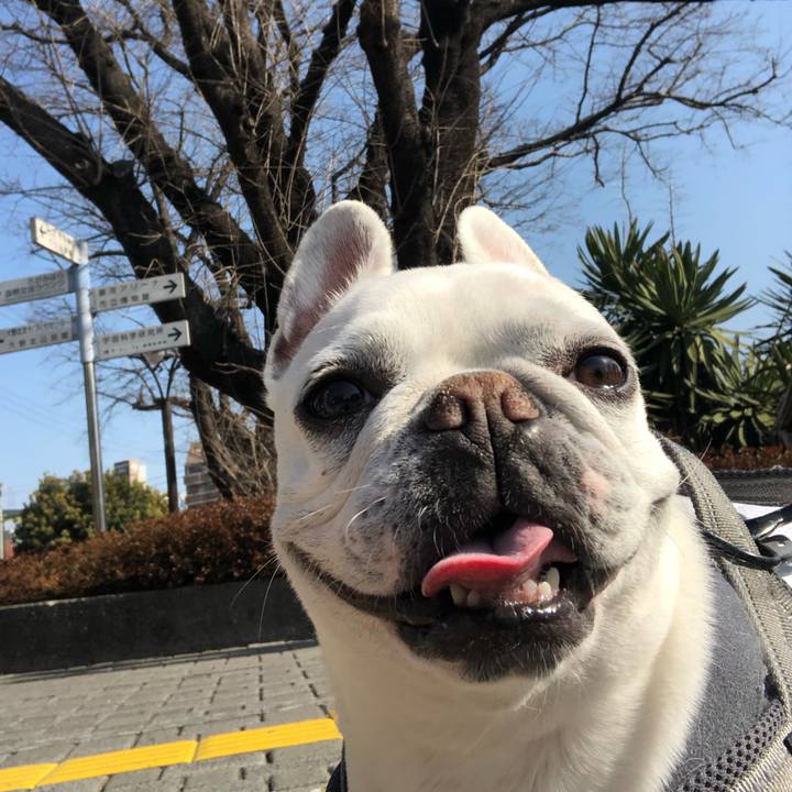 45d03a61 ded7 4361 aae2 c37d15a3a193 1647087248272