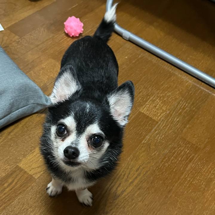 45d0b326 e422 46e3 8659 c31387d21451 1708917635870