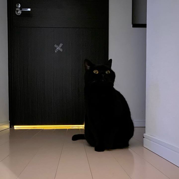 45d0c0b1 1adb 4c2b be6e f733835dd7a2 1709816817455