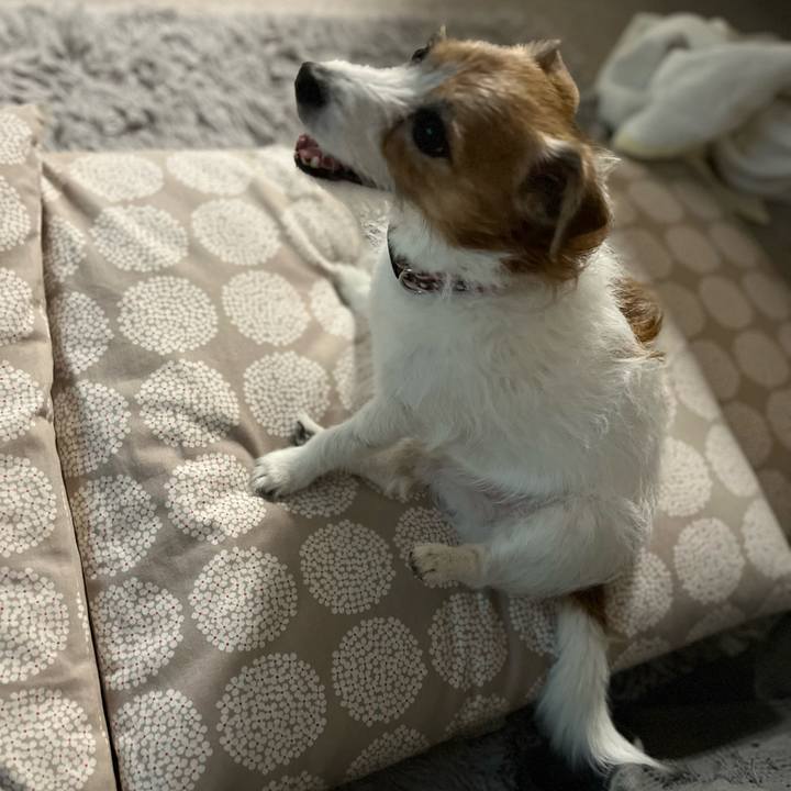 45d12e3a b9ea 4c83 a66d 6f1e29d82e56 1698410310841