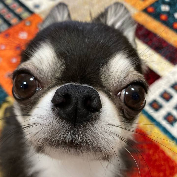 45d130b0 ed48 48ea 8314 24eaf1655e1d 1683413890142