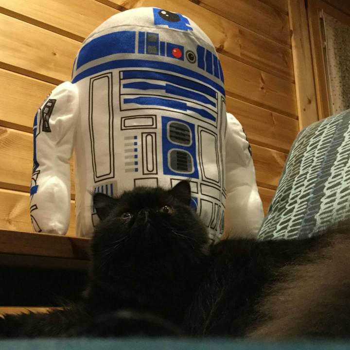 45d14365 cf90 40bb 8f89 6e7e009d17c3 1514287512585