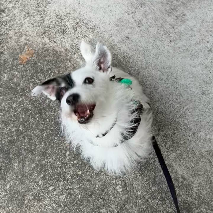 45d16c80 e845 4c67 9657 374e7a3414b7 1758412526109