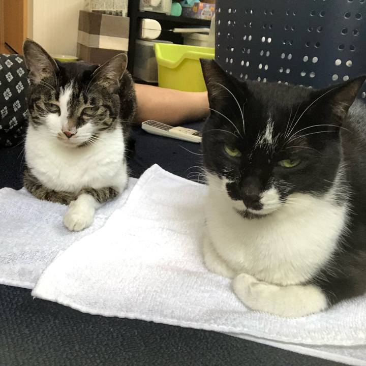 45d17f88 9e18 45b8 a060 ca182f02a824 1623099651813