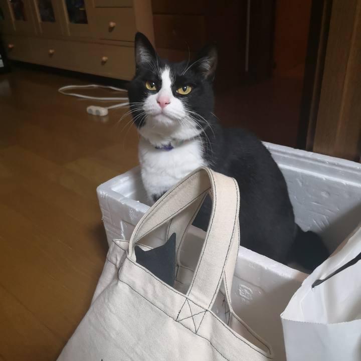 45d1deb2 71cd 49f1 946e cdf3fe3cf5dd 1582169992003