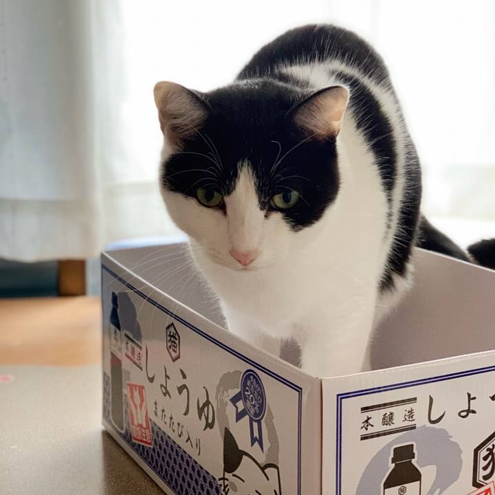 45d1f317 dac4 47db bca1 5517b4d3af2e 1545272312420