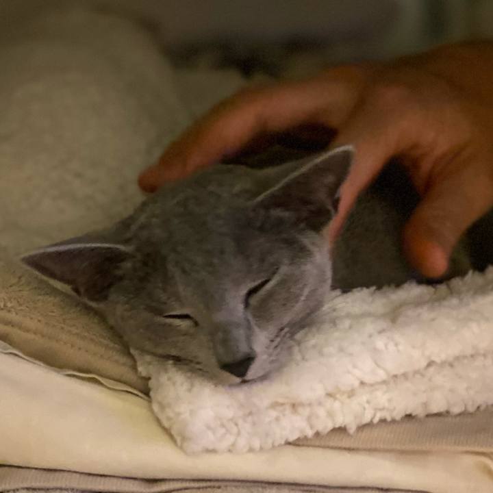 45d23e29 aea2 4268 a073 37e495121f28 1604749189546