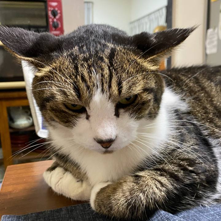 45d26758 ff00 4364 a776 3dec7f46c6ee 1664021372658