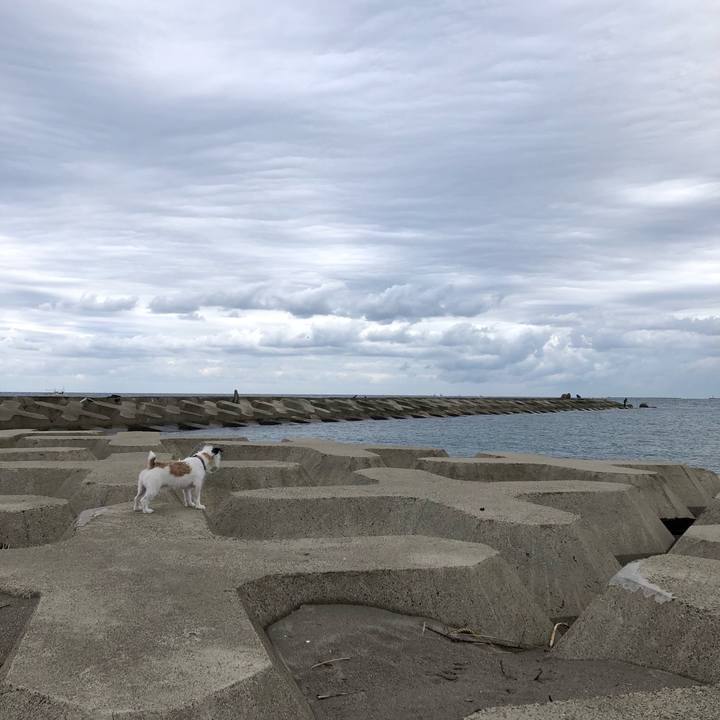 45d2817e 842e 445b a2b6 b9943ea3d81e 1600471251654