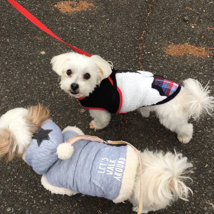 45d28f35 acff 4b99 851e 0ba5b2756d27 1575689311912