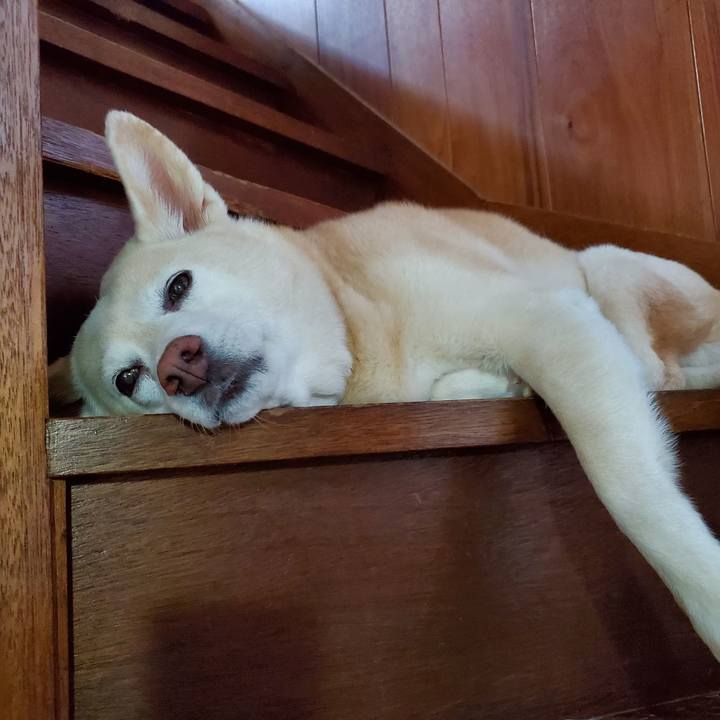 45d29acf 330e 4d2f 8084 8060fce15d23 1597148222854