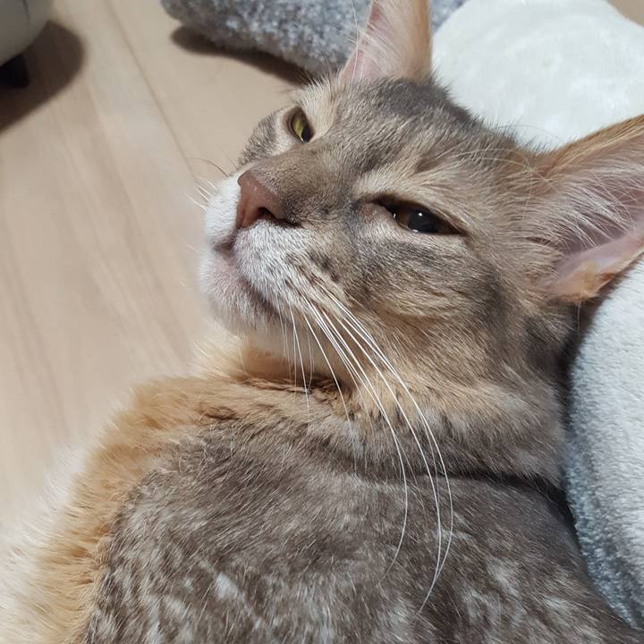 45d2bcbb fc2d 4c59 9dda 14609bc7107b 1579646880818