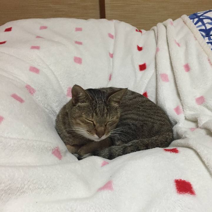 45d2da6d ecdd 459e b0d1 eb3f51e3b857 1578151444921